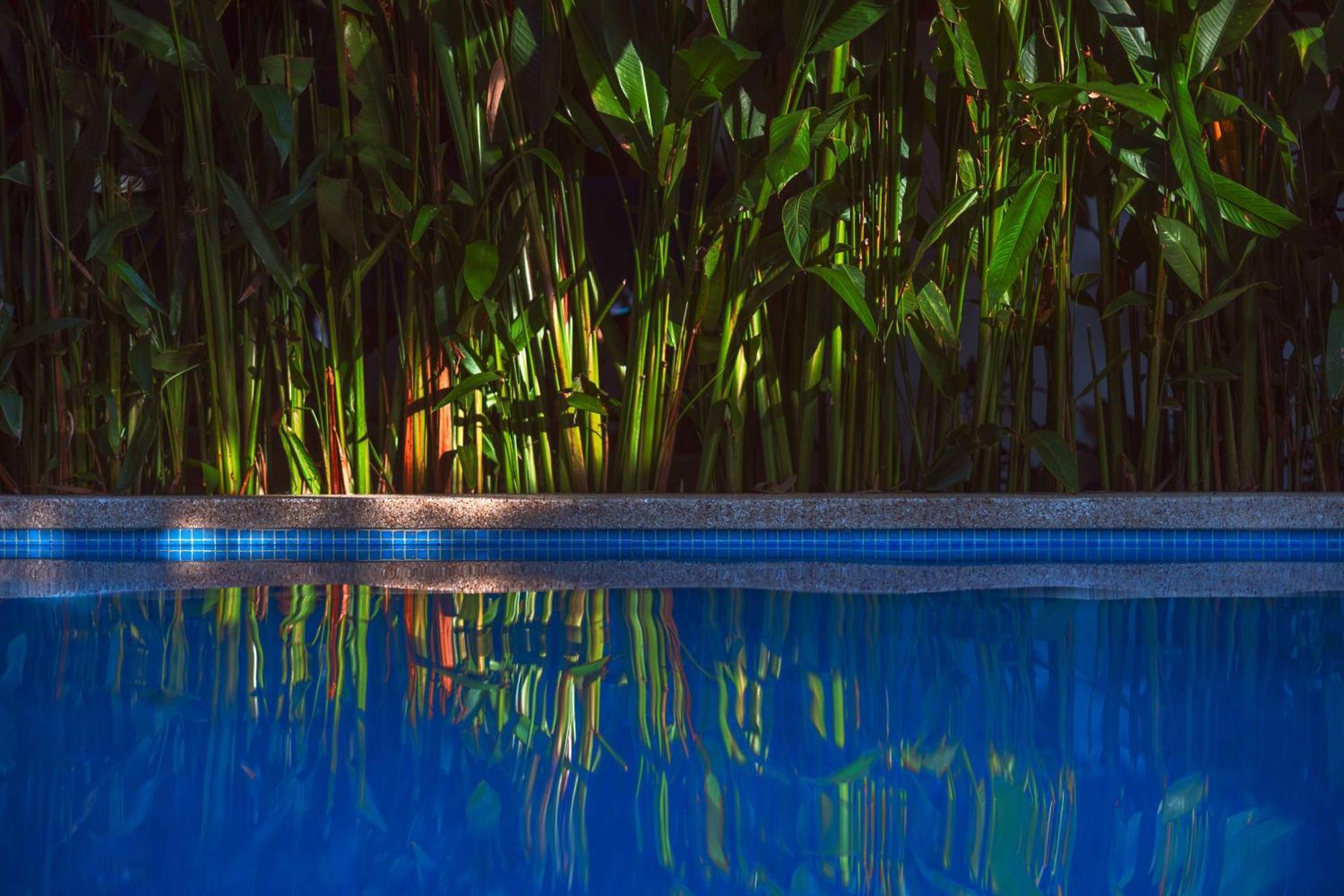 Black Bamboo Puerto Viejo de Talamanca Exterior foto